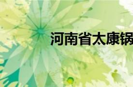 河南省太康锅炉制造有限公司