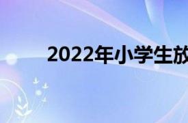 2022年小学生放暑假是几月几日啊