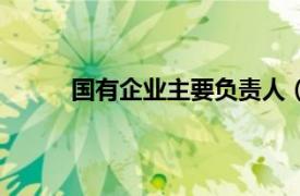 国有企业主要负责人（国有企业高管经济责任）