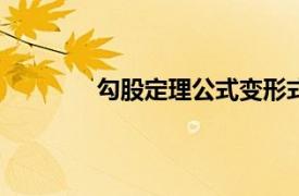 勾股定理公式变形式（勾股定理公式345）