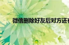 微信删除好友后对方还有自己吗可以给我发信息不