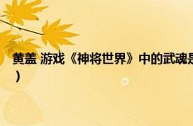 黄盖 游戏《神将世界》中的武魂是什么（黄盖 游戏《神将世界》中的武魂）