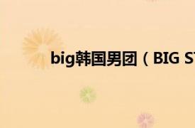 big韩国男团（BIG STAR 韩国男子演唱组合）