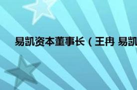 易凯资本董事长（王冉 易凯资本创始合伙人兼首席执行官）