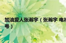 加油爱人张瀚宇（张瀚宇 电视剧《加油爱人》《幸福爱人》男一号）