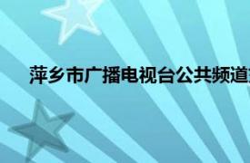 萍乡市广播电视台公共频道交通安全（萍乡市广播电视台）