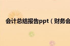 会计总结报告ppt（财务会计报告 会计信息总结性文件）