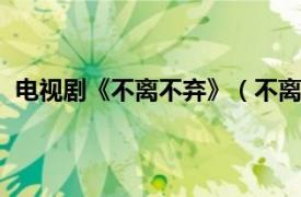 电视剧《不离不弃》（不离不弃 2009年刘娟导演电视剧）