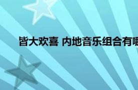 皆大欢喜 内地音乐组合有哪些（皆大欢喜 内地音乐组合）