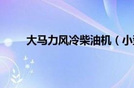 大马力风冷柴油机（小型风冷柴油机的关键技术）