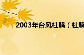 2003年台风杜鹃（杜鹃 2015年第21号超强台风）