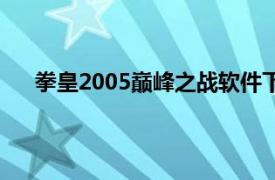 拳皇2005巅峰之战软件下载（拳皇2005：巅峰之战）