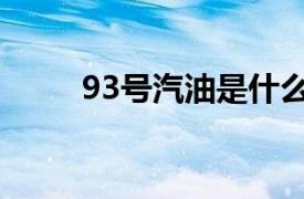 93号汽油是什么意思（93号汽油）