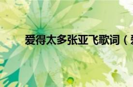 爱得太多张亚飞歌词（爱得太多 张亚飞演唱歌曲）