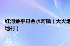 红河金平县金水河镇（大火地村 云南省红河州金平县金河镇大火地村）