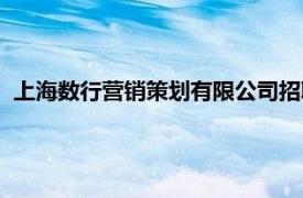 上海数行营销策划有限公司招聘（上海数行营销策划有限公司）