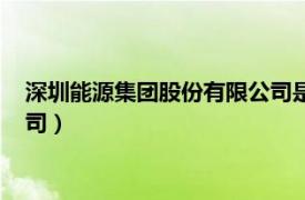 深圳能源集团股份有限公司是国企吗（深圳能源集团股份有限公司）