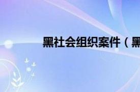 黑社会组织案件（黑社会 有组织犯罪团伙）