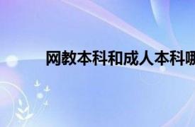 网教本科和成人本科哪个含金量高（网教本科）