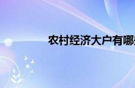 农村经济大户有哪些人（农村经济大户）