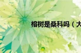 榕树是桑科吗（大青树 桑科榕属植物）