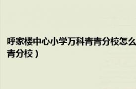 呼家楼中心小学万科青青分校怎么样（北京市朝阳区呼家楼中心小学万科青青分校）