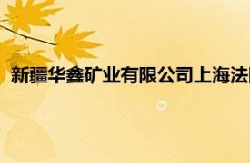 新疆华鑫矿业有限公司上海法院拍卖（新疆华鑫矿业有限公司）