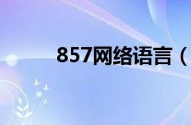 857网络语言（857 网络流行语）