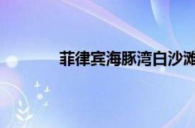 菲律宾海豚湾白沙滩（海豚湾 菲律宾景点）