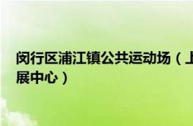 闵行区浦江镇公共运动场（上海市闵行区浦江镇文化体育事业发展中心）