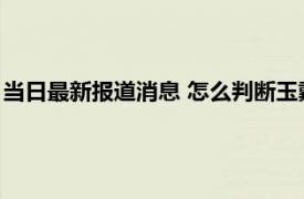 当日最新报道消息 怎么判断玉戴活了 通过这几个方面就可以知道