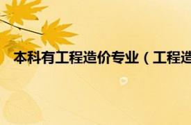 本科有工程造价专业（工程造价 中国普通高等学校本科专业）