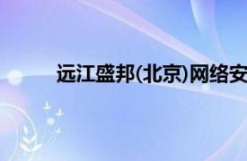 远江盛邦(北京)网络安全科技股份有限公司上市