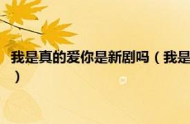 我是真的爱你是新剧吗（我是真的爱你 2021年吕行执导的电视剧）