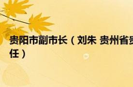 贵阳市副市长（刘朱 贵州省贵阳市贵阳市人民政府办公厅原副主任）