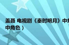 盖聂 电视剧《秦时明月》中角色扮演（盖聂 电视剧《秦时明月》中角色）