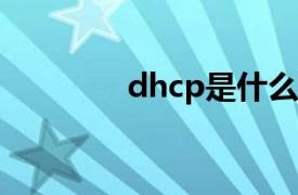 dhcp是什么意思（DHCP）