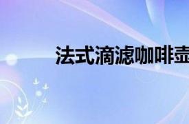 法式滴滤咖啡壶（法式滴滤咖啡）