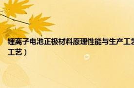 锂离子电池正极材料原理性能与生产工艺电子版（锂离子电池正极材料 原理性能与生产工艺）