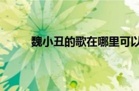 魏小丑的歌在哪里可以听（小丑 魏俫演唱歌曲）