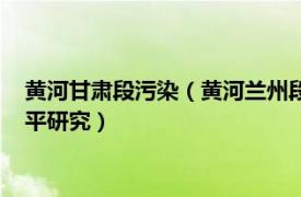 黄河甘肃段污染（黄河兰州段典型污染物迁移转化特性及承纳水平研究）