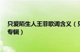 只爱陌生人王菲歌词含义（只爱陌生人 1999年王菲发行的音乐专辑）