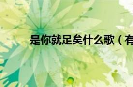 是你就足矣什么歌（有你足矣 王卯薪演唱歌曲）