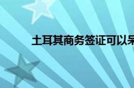 土耳其商务签证可以呆多久（土耳其商务签证）