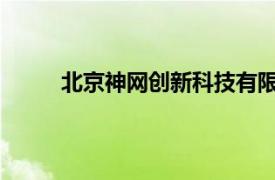 北京神网创新科技有限公司炉内成像使用说明书