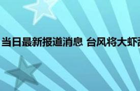 当日最新报道消息 台风将大虾刮飞停在车窗上 开始以为是小挂件