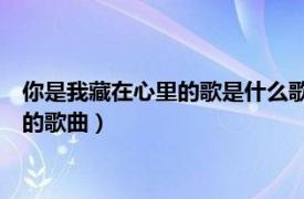 你是我藏在心里的歌是什么歌（我在你眼里到底算什么 藏娃演唱的歌曲）