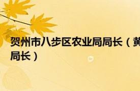 贺州市八步区农业局局长（黄杏 广西贺州市八步区经济贸易局副局长）