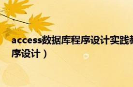 access数据库程序设计实践教程（Access2010数据库技术与程序设计）