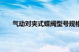 气动对夹式蝶阀型号规格（气动对夹式硬密封蝶阀）